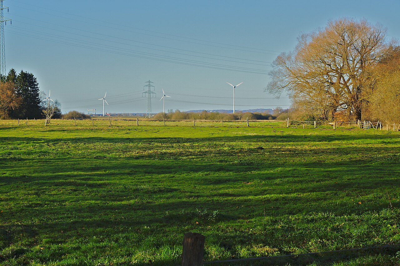 Hamburg ( Neugraben ), Germany : The natural reserve Moorgürtel