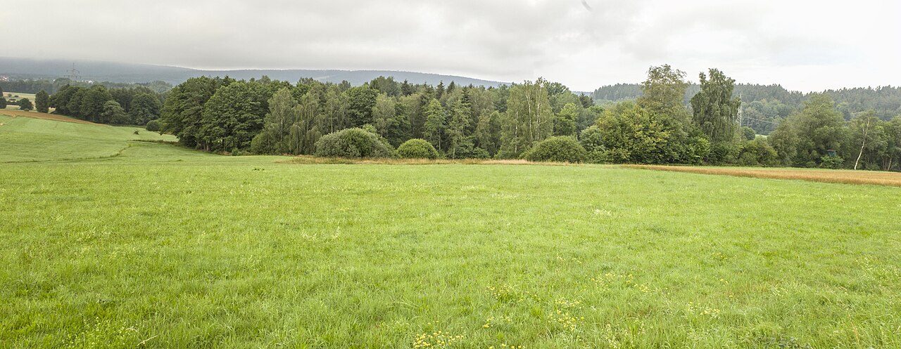 Blick von der Straße Fichtelberg-Hüttstadl ins NSG Moosbachaue