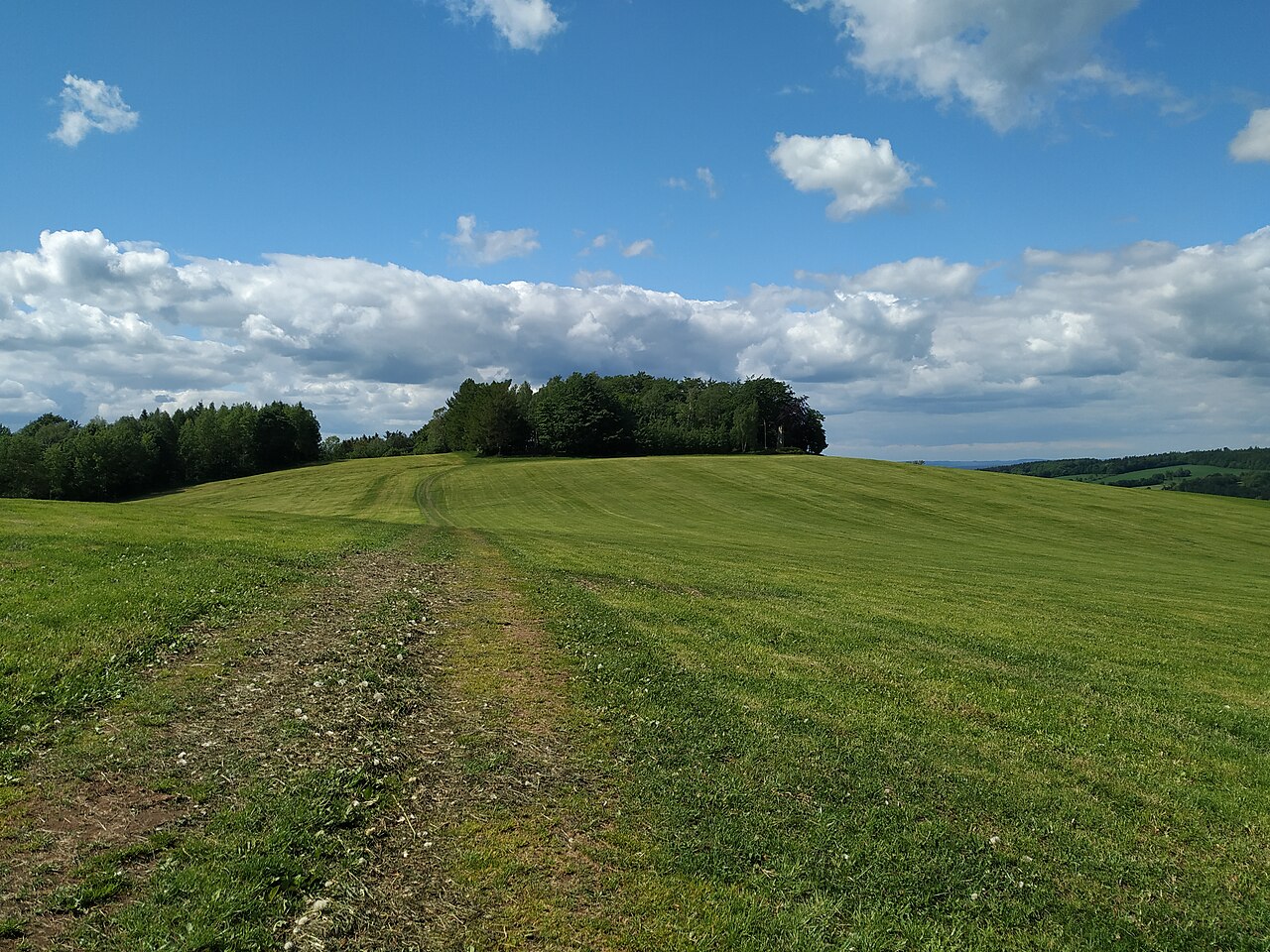 Blick vom Fritzschotenbüschel zur Morgensternhöhe in Marienberg