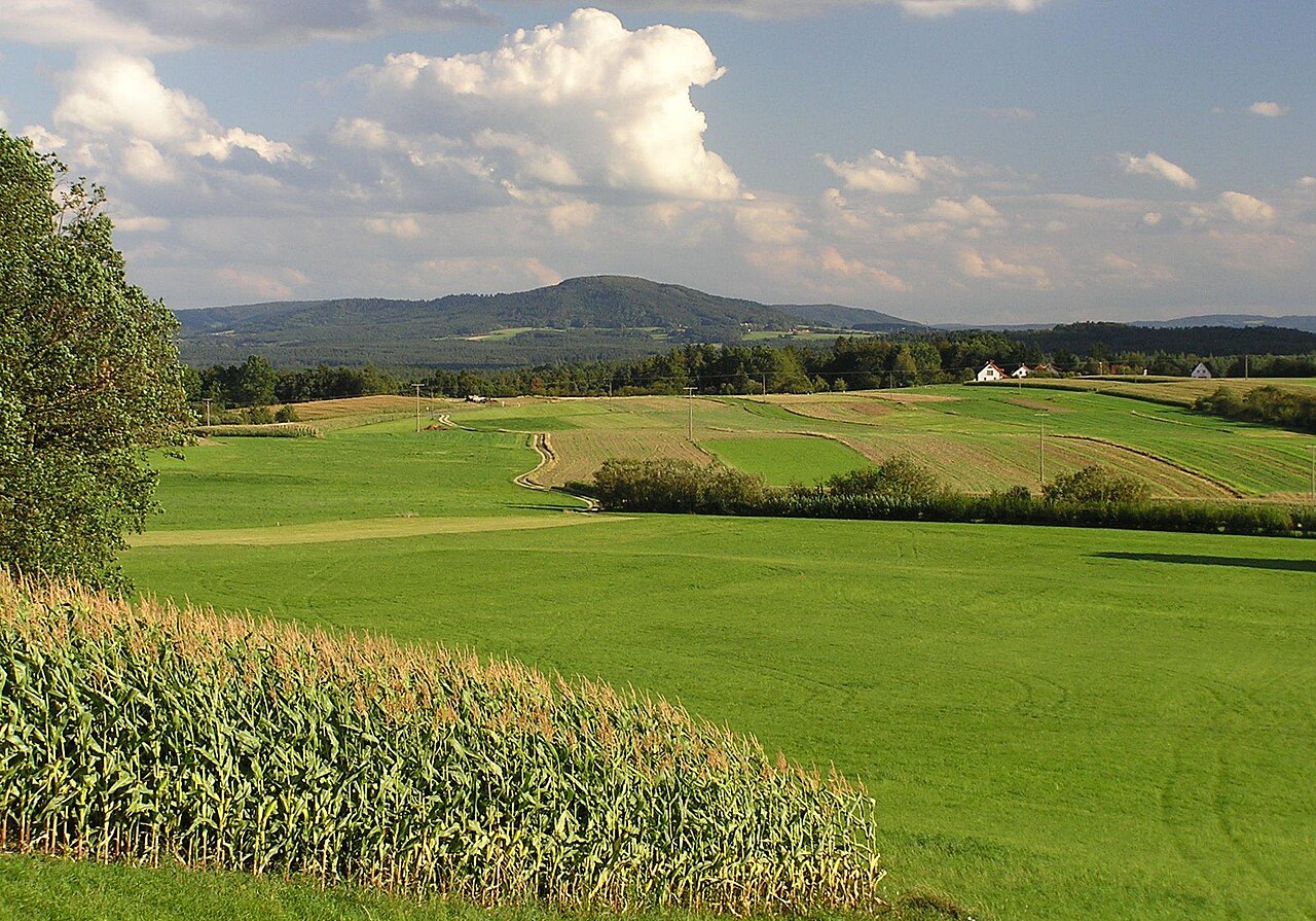 Der Moritzberg in der Frankenalb (Mittelfranken, Bundesland Bayern), von Tauchersreuth aus gesehen