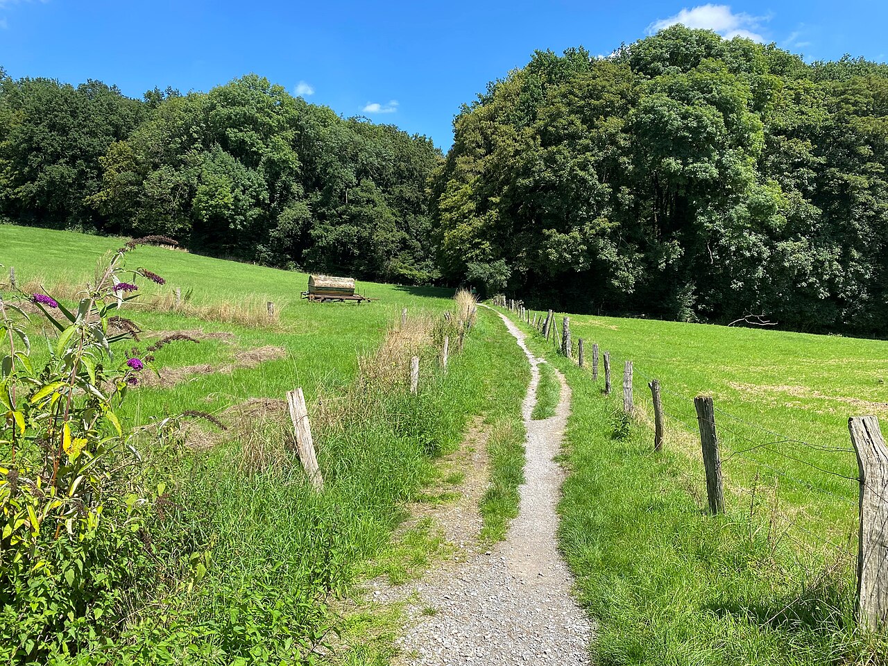 Weg durch die Weiden bei Papendell Richtung Osten