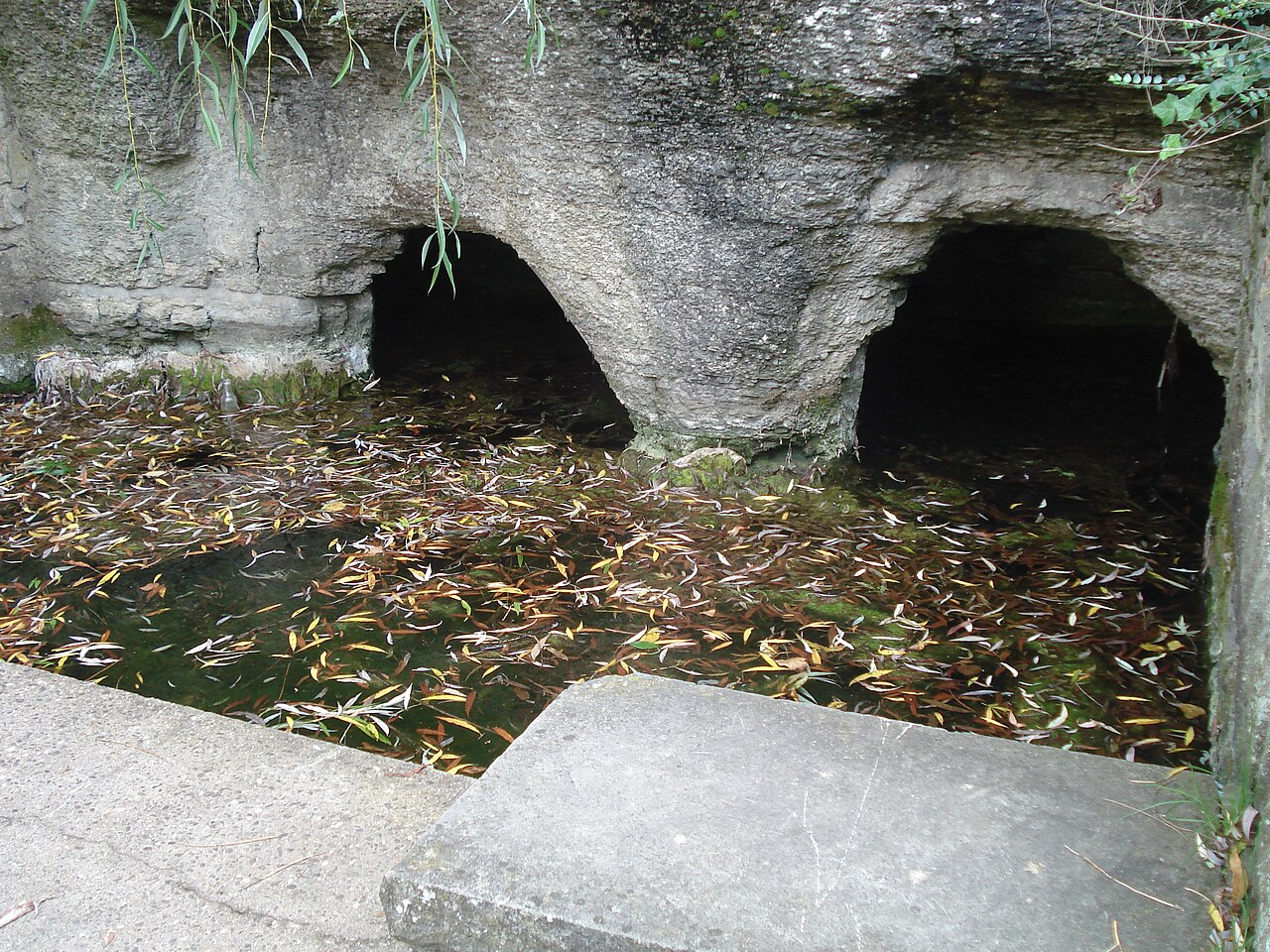 Karstquelle der Morre in Hettingen , baden-württembergischer Odenwald
