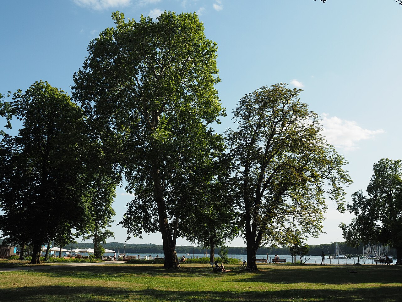 Müggelpark Friedrichshagen
