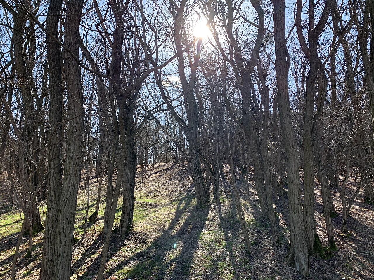Mühlenberg, eine 54,5m hohe Erhebung in Trebbin-Stangenhagen in Brandenburg