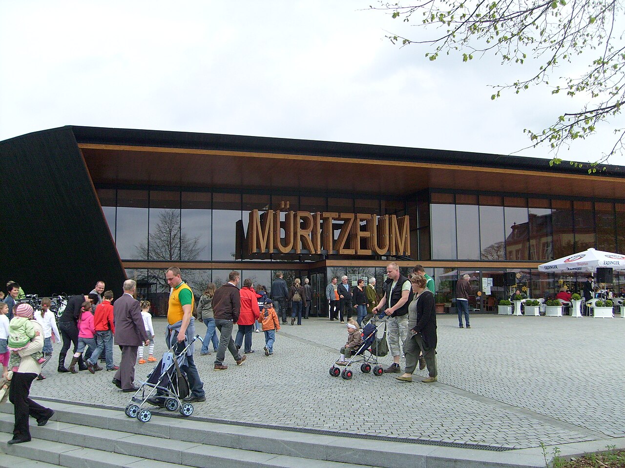 Müritzeum in Waren Müritz