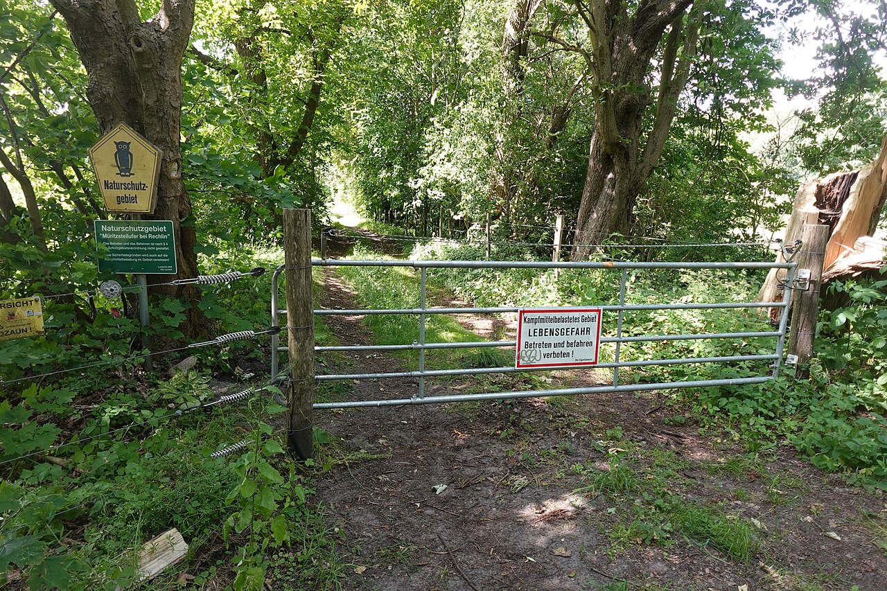 Naturschutzgebiet Müritzsteilufer bei Rechlin