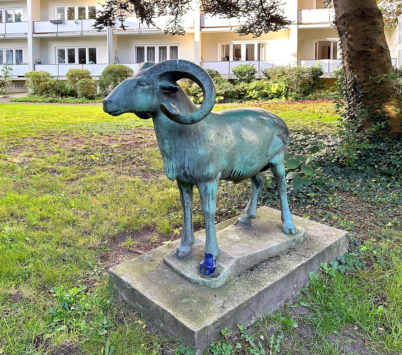 Foto von Mufflonschaf