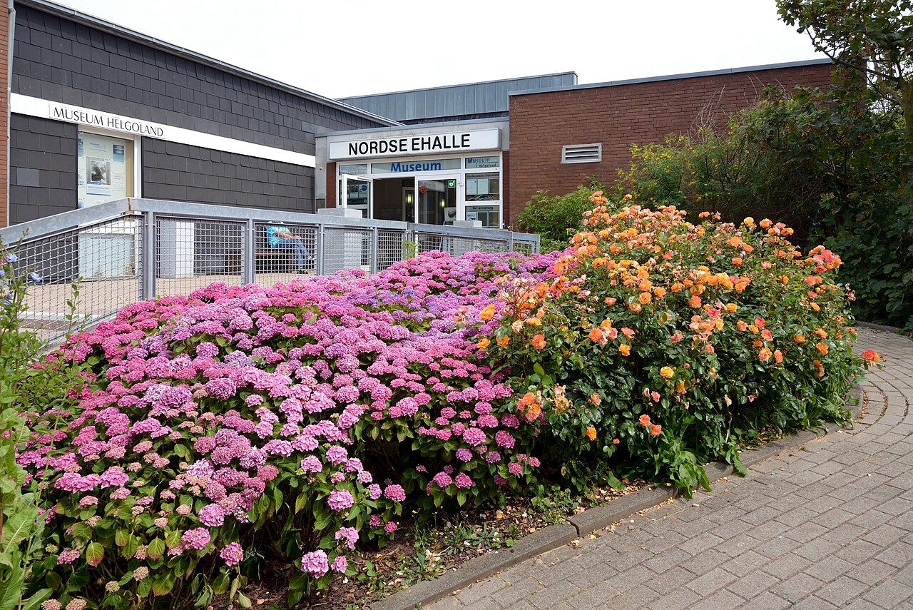 Bilder von Helgoland im Juli 2019 Museum Helgoland: Eingangsbereich