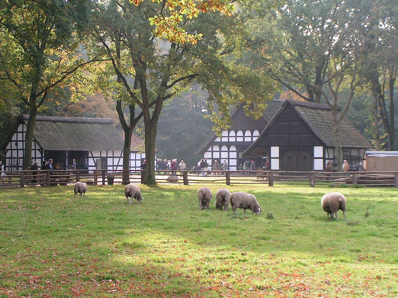 Museumshof Rahden - Gesamtansicht