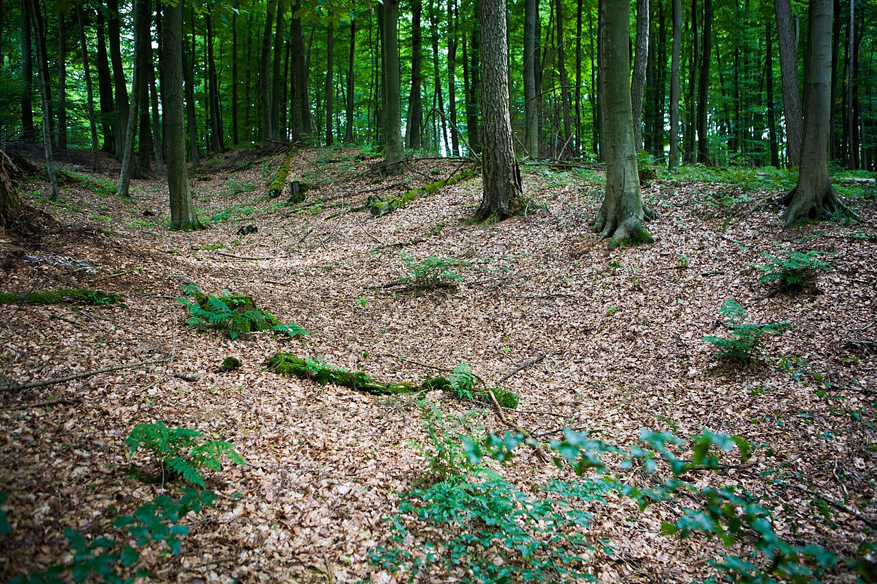 Nammer Lager (Östlicher Wall)