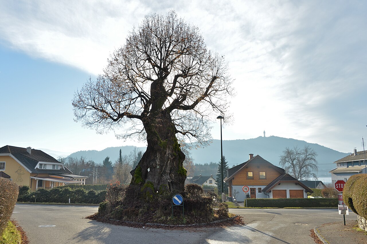 This media shows the natural monument in Carinthia with the ID KL 21