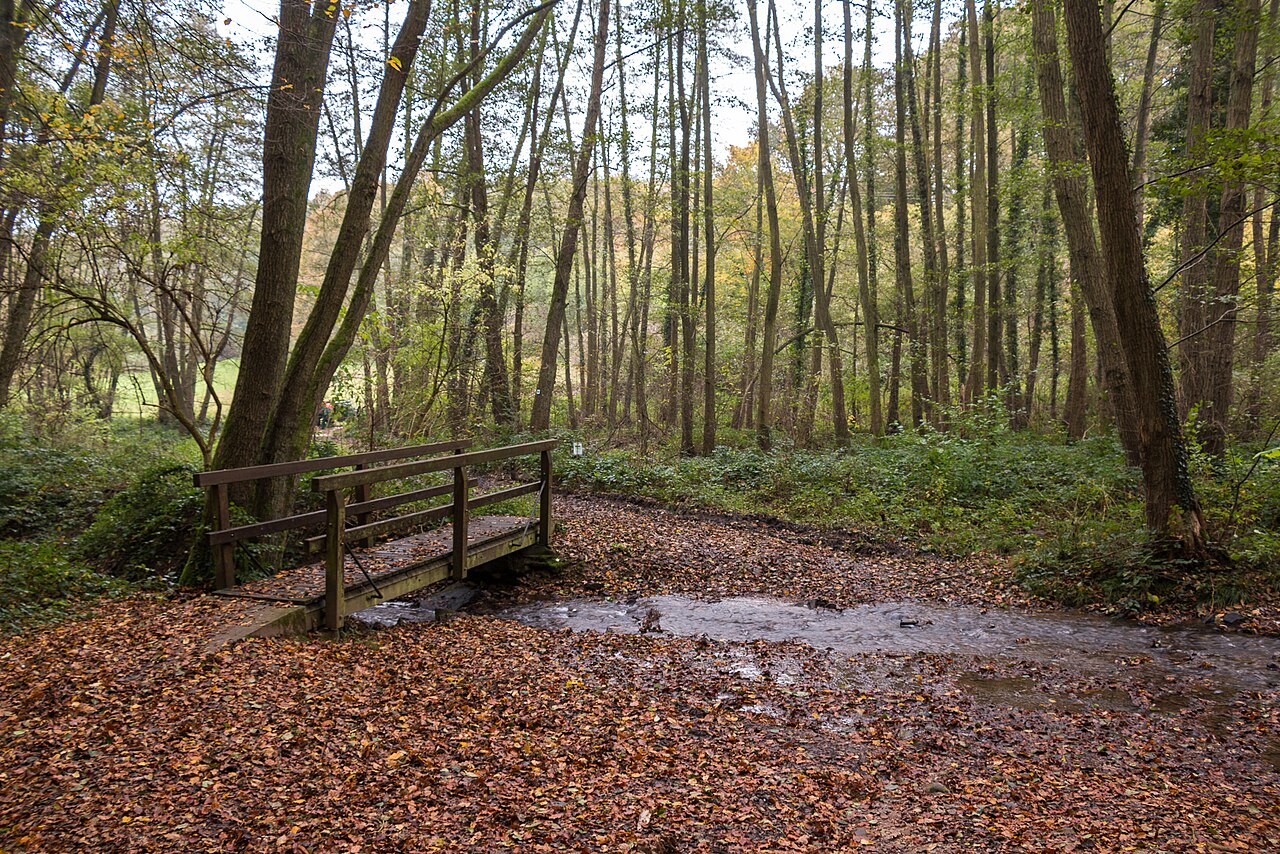 The Elsterbach creek in the Rheingau near Marienthal