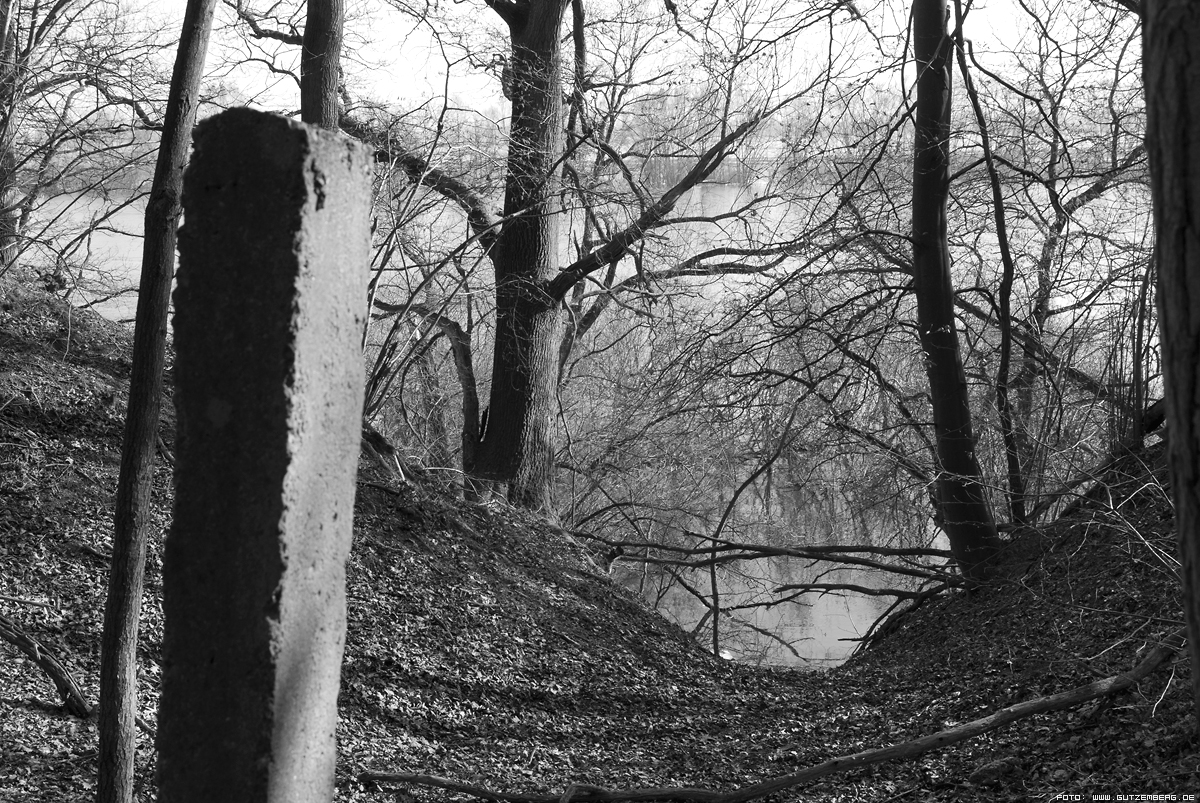 V-shaped valley in "Vierwald" near Boizenburg and parts of der East Germany border