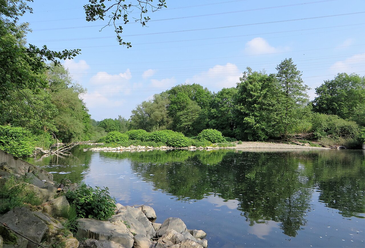 Foto von Naturschutzgebiet Lenneaue Kabel