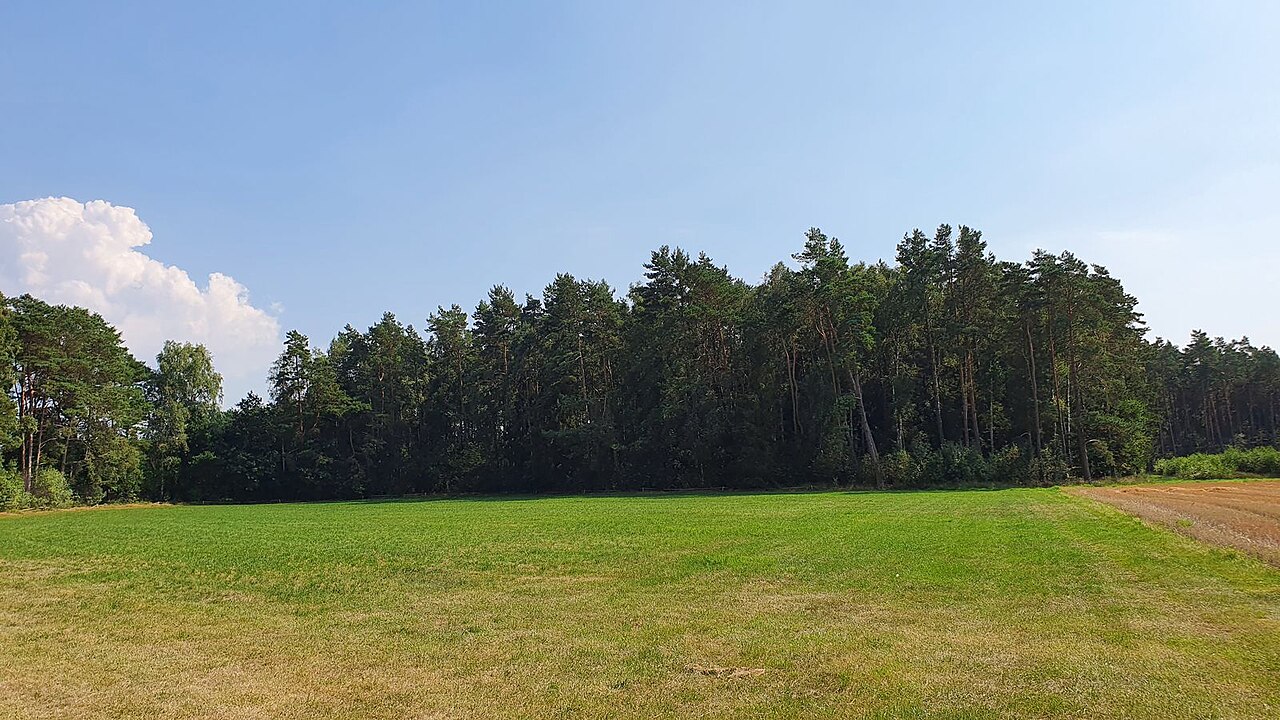 Naturschutzgebiet Wittenmoor