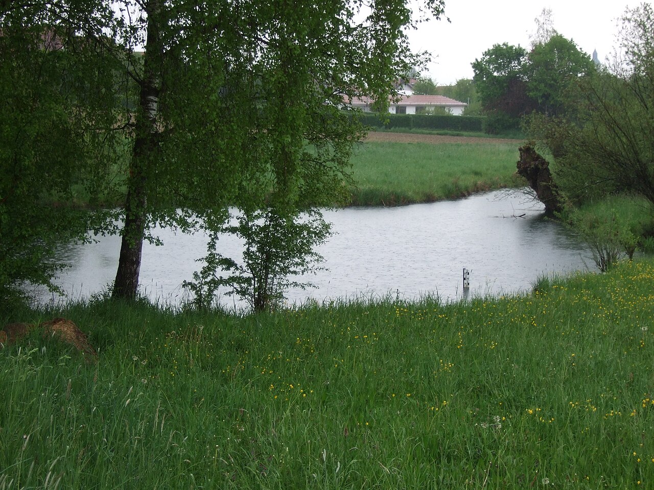 Der Nau-Ursprung in Langenau