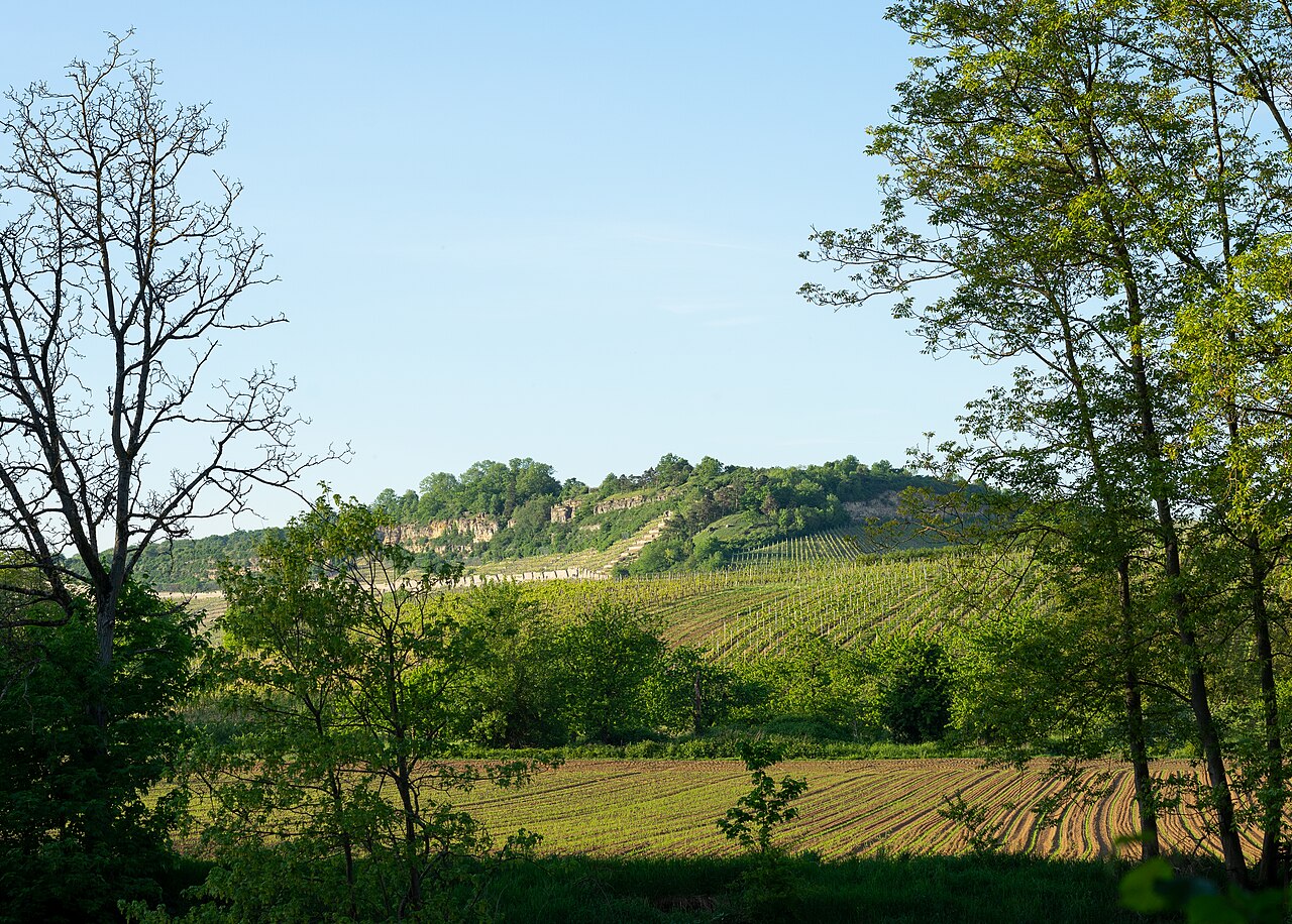 Foto von Neckarhalde