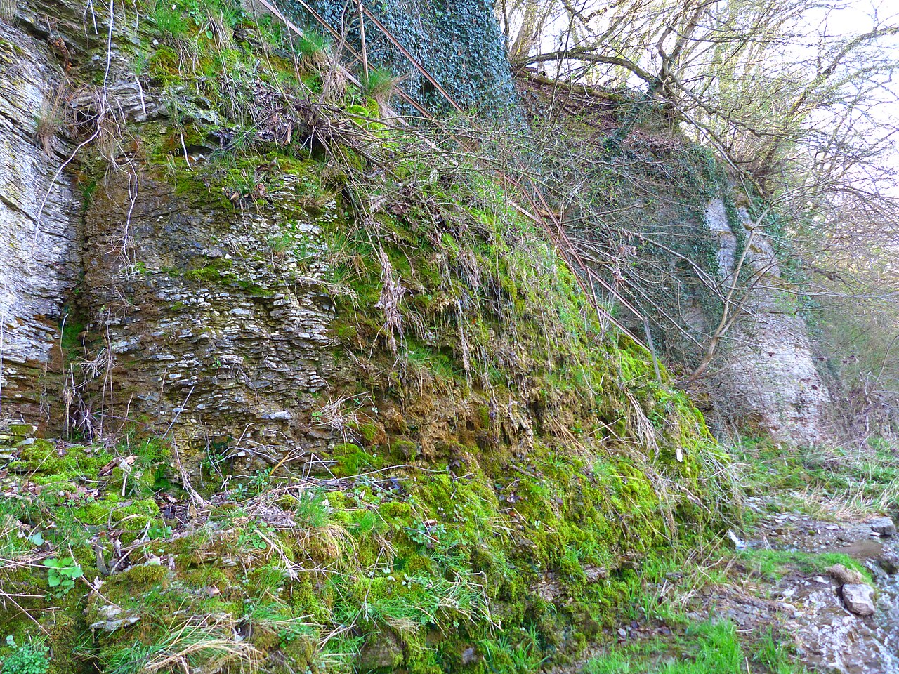 Naturschutzgebiet „Neckarhochufer“: Das Neckarhochufer mit dem Einstieg in die legendäre Notburga-Höhle