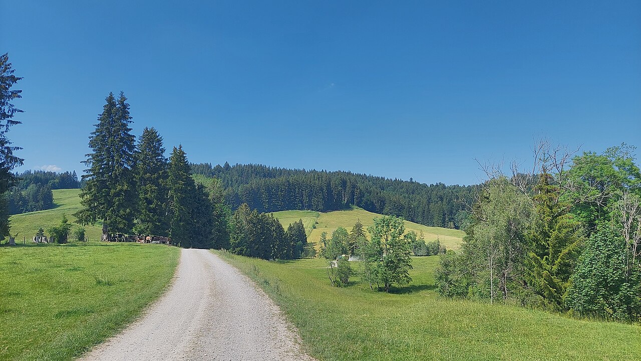 Nemlerspitz in the municipality of Weitnau, view from southeast