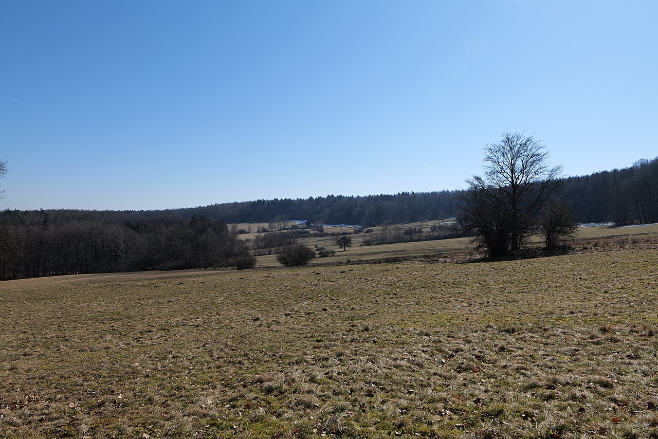Naturschutzgebiet Neudorfwiesen bei Steinau