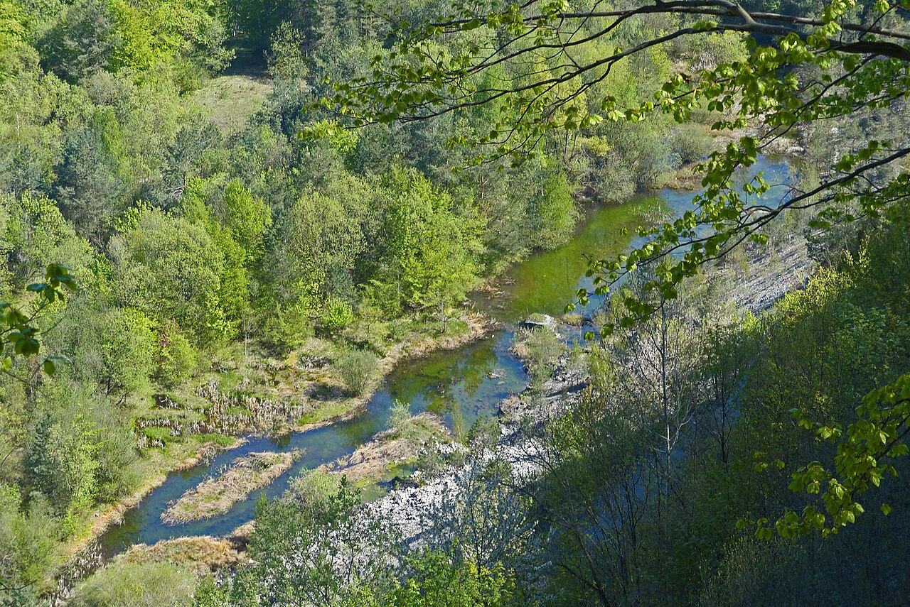 Kleines Feuchtbiotop in der Steinbruchsohle im Naturschutzgebiet am Neuffener Hörnle