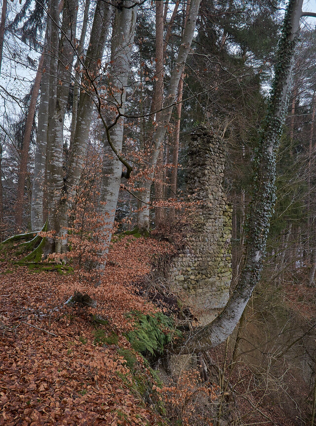 Remains of the castle Neusummerau , Neukirch-Summerau, county Bodenseekreis, Germany