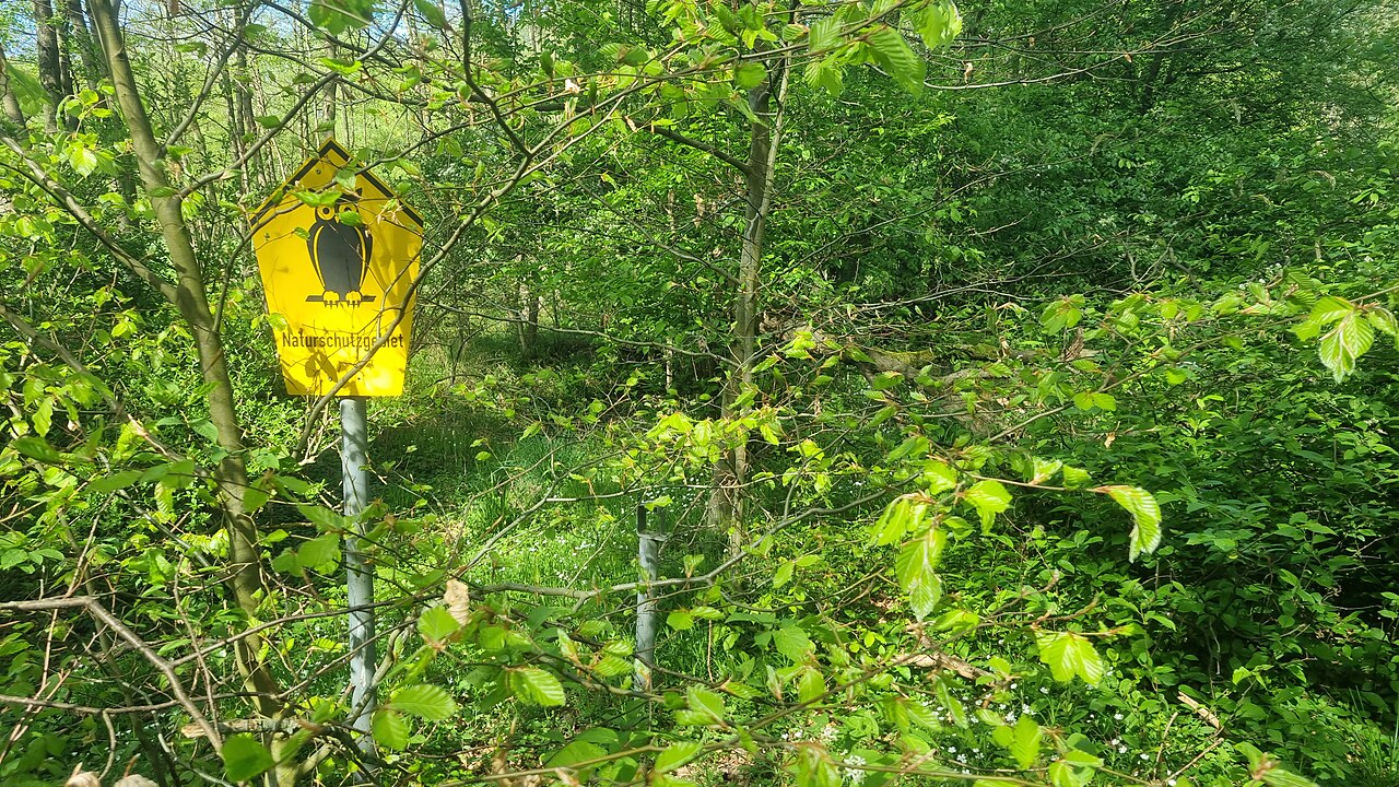 Das Nieklitzer Moor ist ein Naturschutzgebiet im Landkreis Ludwigslust-Parchim