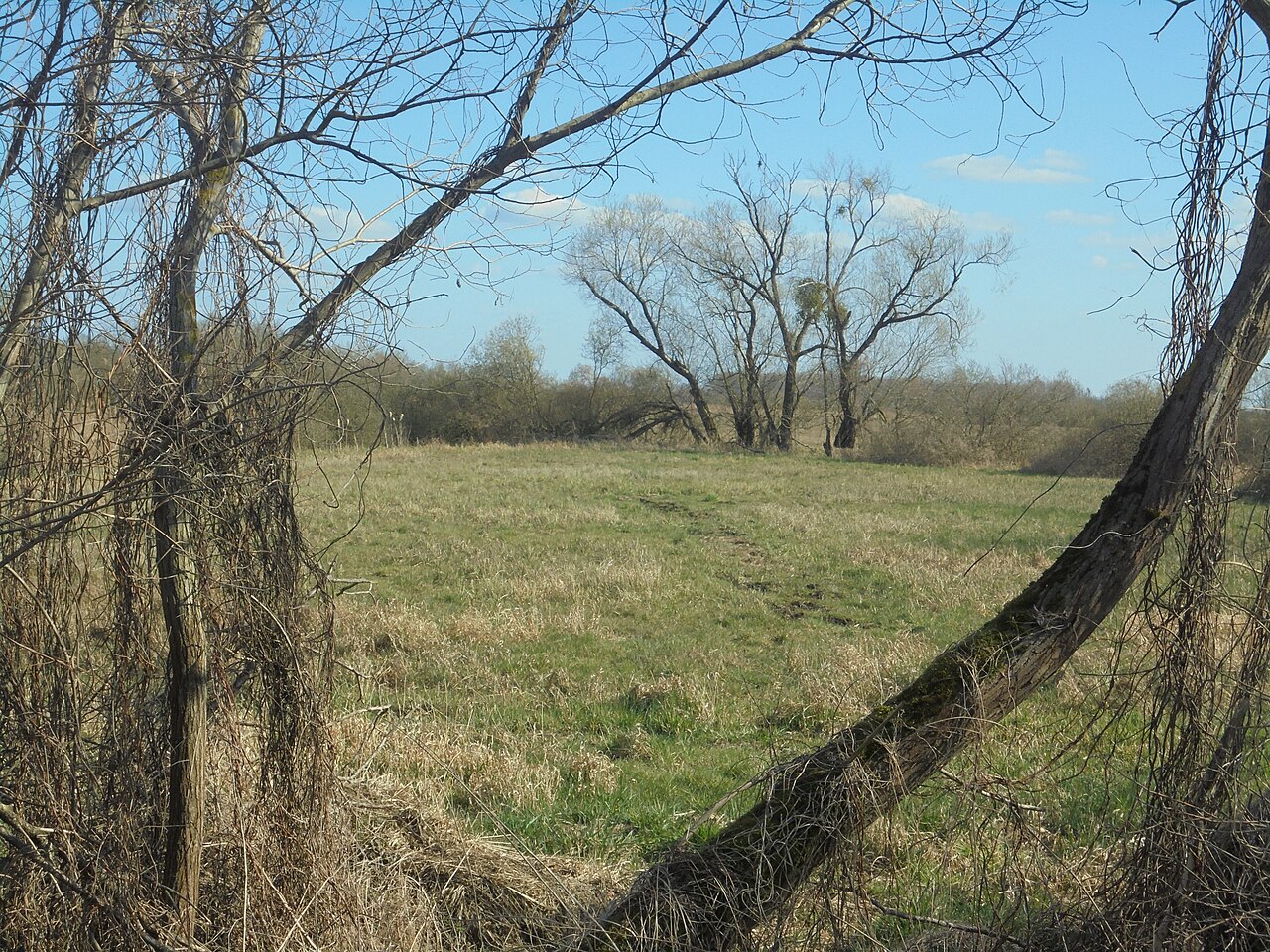 Nördlicher Drömling, nature reserve near Rühen, Lower Saxony