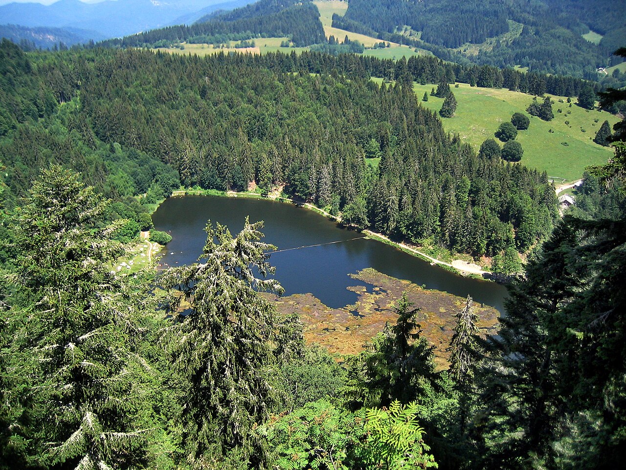 Nonnenmattweiher