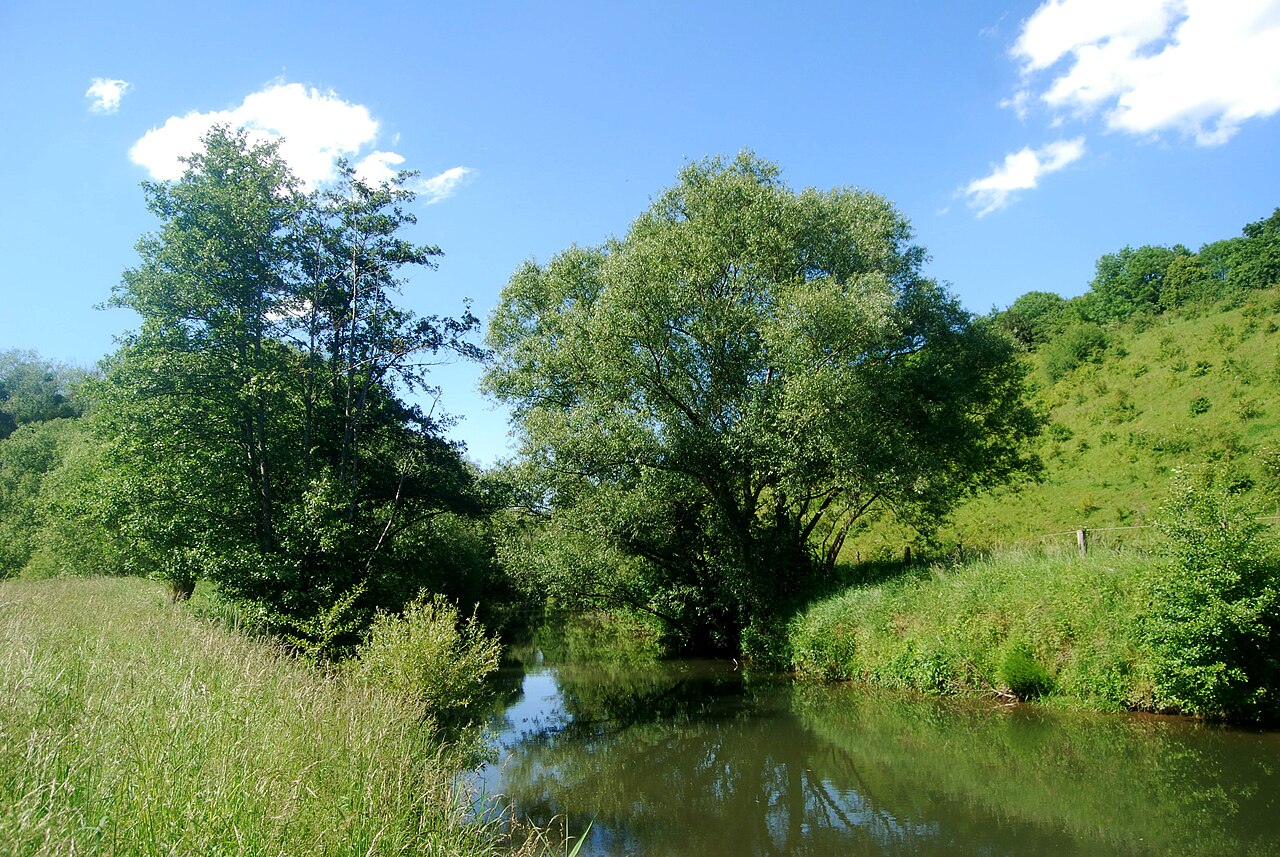 Naturschutzgebiet Am roten Steine, Stadt Hildesheim, HA 109