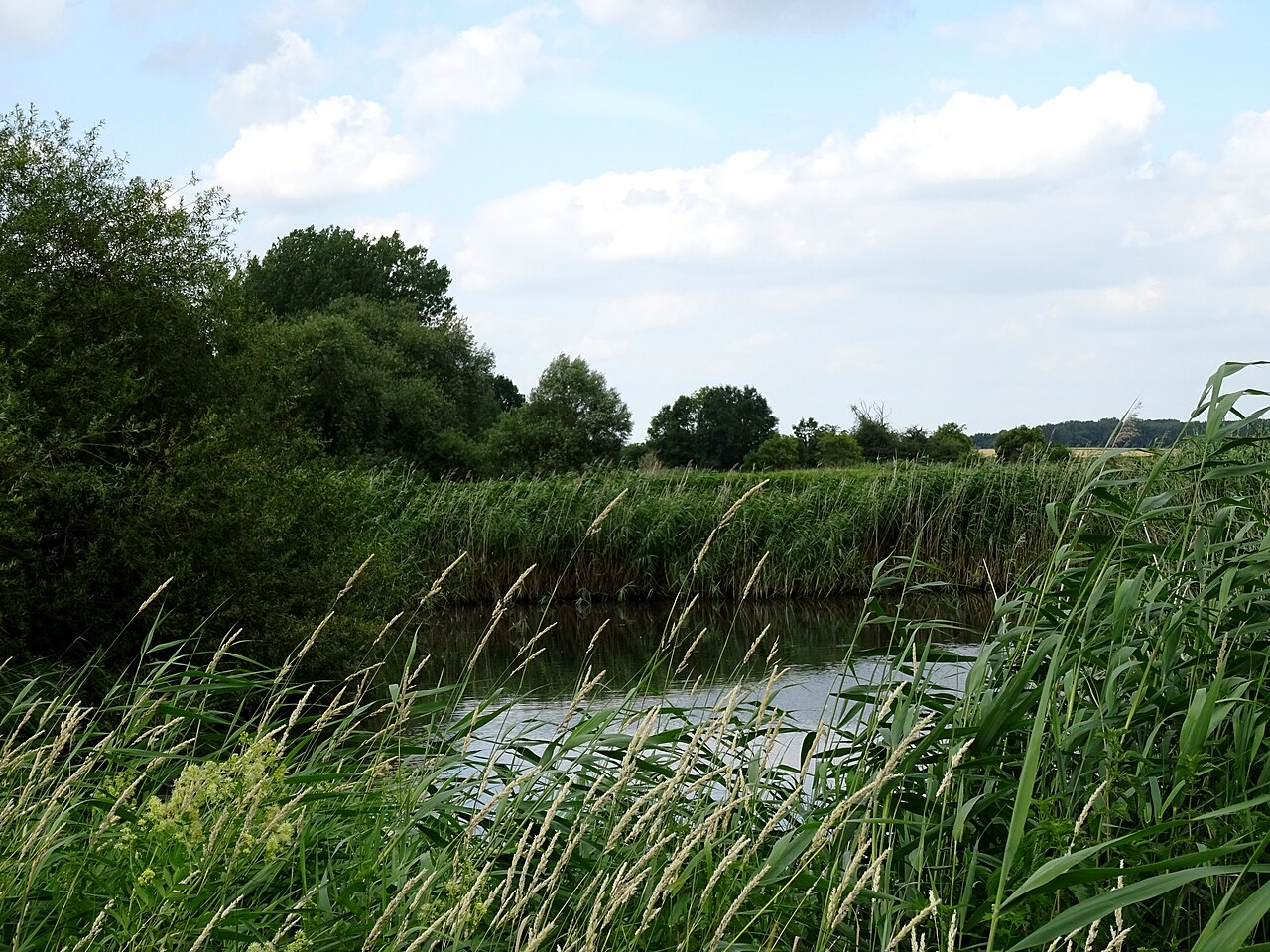 Naturschutzgebiet „Entenfang“ (NSG HA 145) im Landkreis Hildesheim, Niedersachsen
