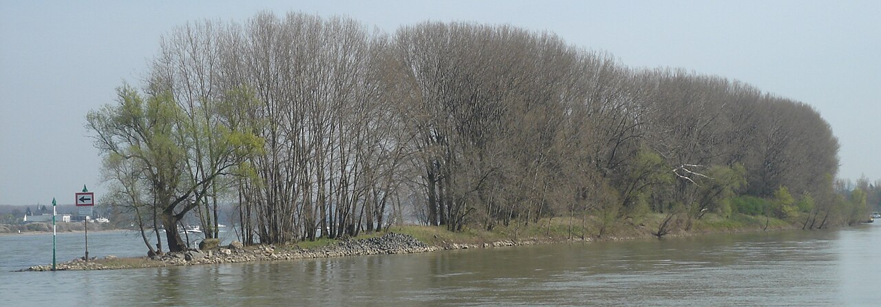 Rhine island Herseler Werth in Bornheim - Hersel , Germany