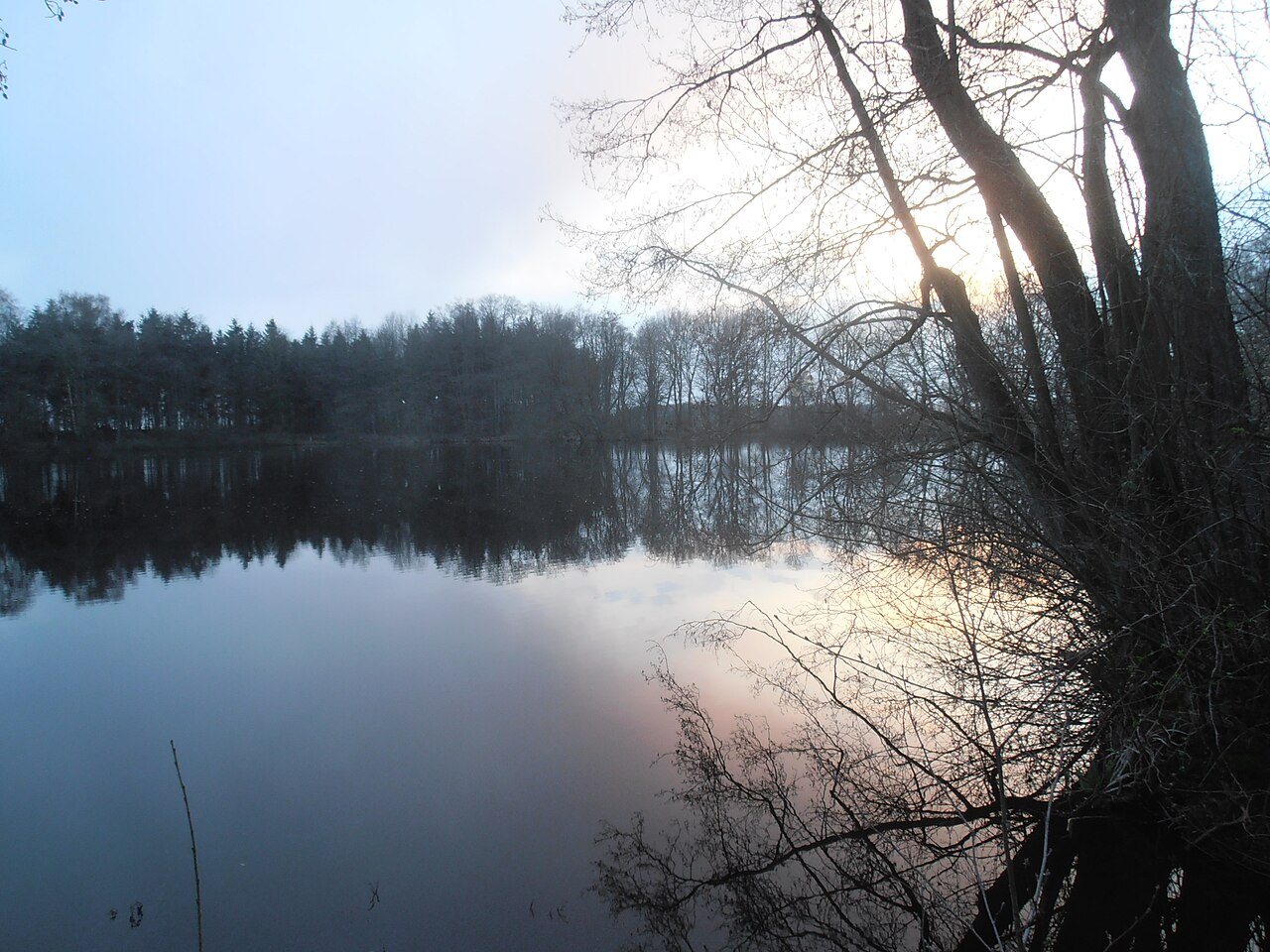 Das Lechtegoor, ein Naturschutzgebiet in der niedersächsischen Gemeinde Gersten im Landkreis Emsland