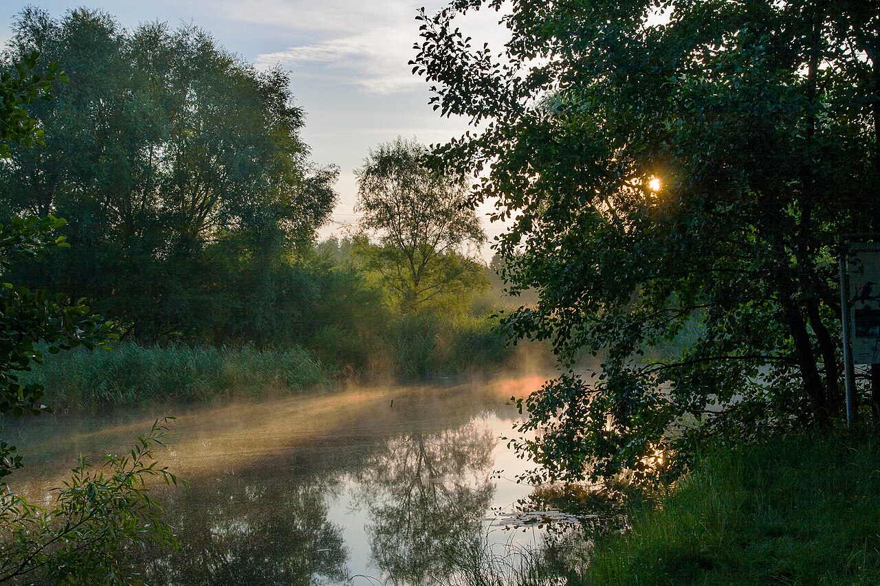 "Malchower Aue" nature reserve in Berlin, Germany