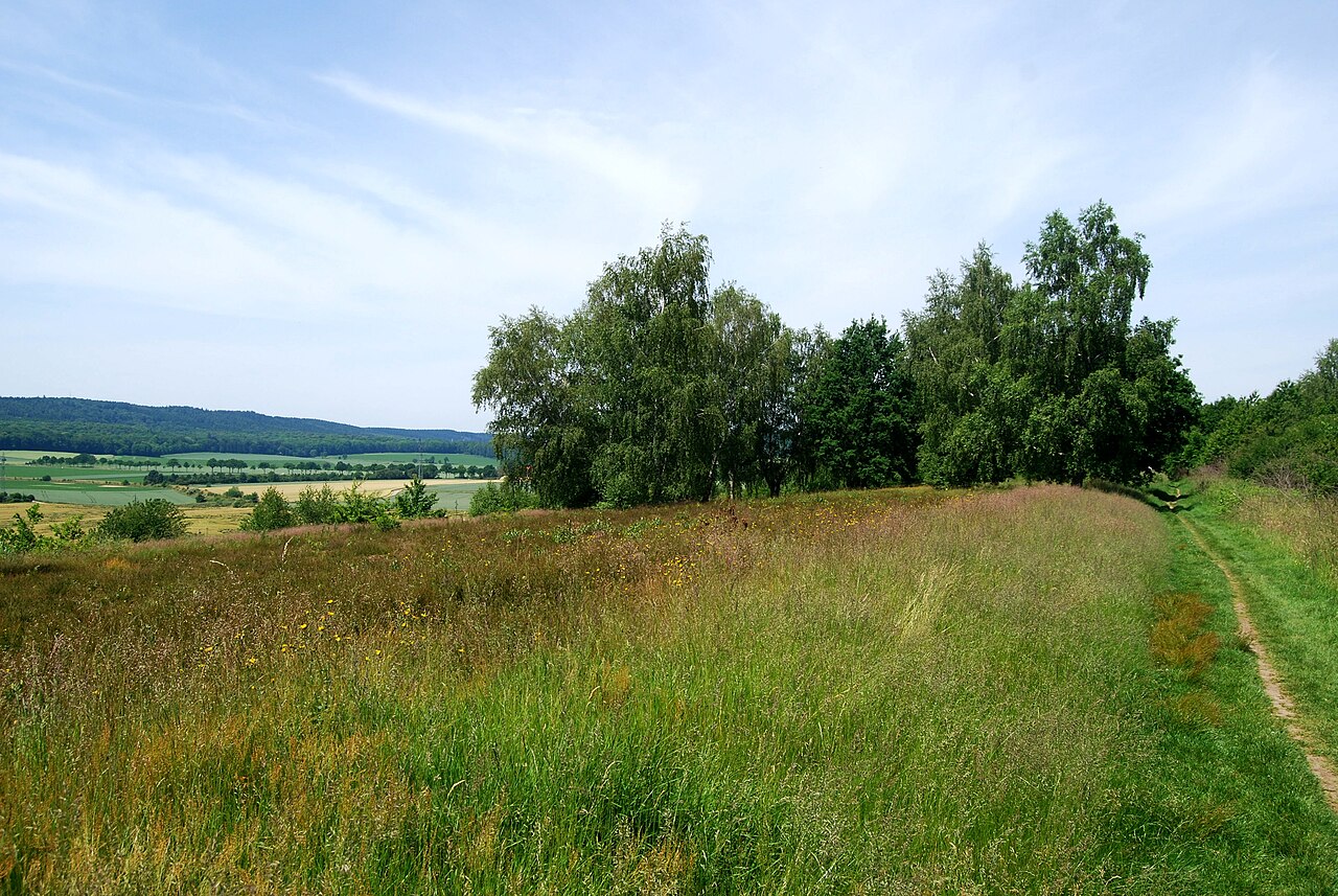 Naturschutzgebiet „Schwarze Heide“ (NSG HA 121), Landkreis Hildesheim
