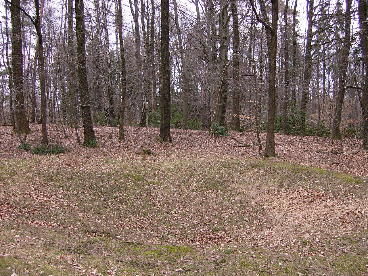 Pinge auf dem Silberberg (NSG) in Hagen am Teutoburger Wald