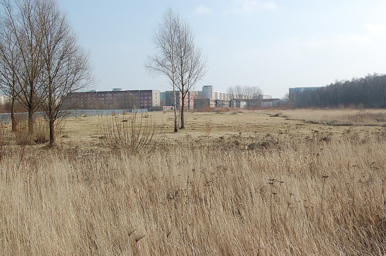 Unkenpfuhle Marzahn