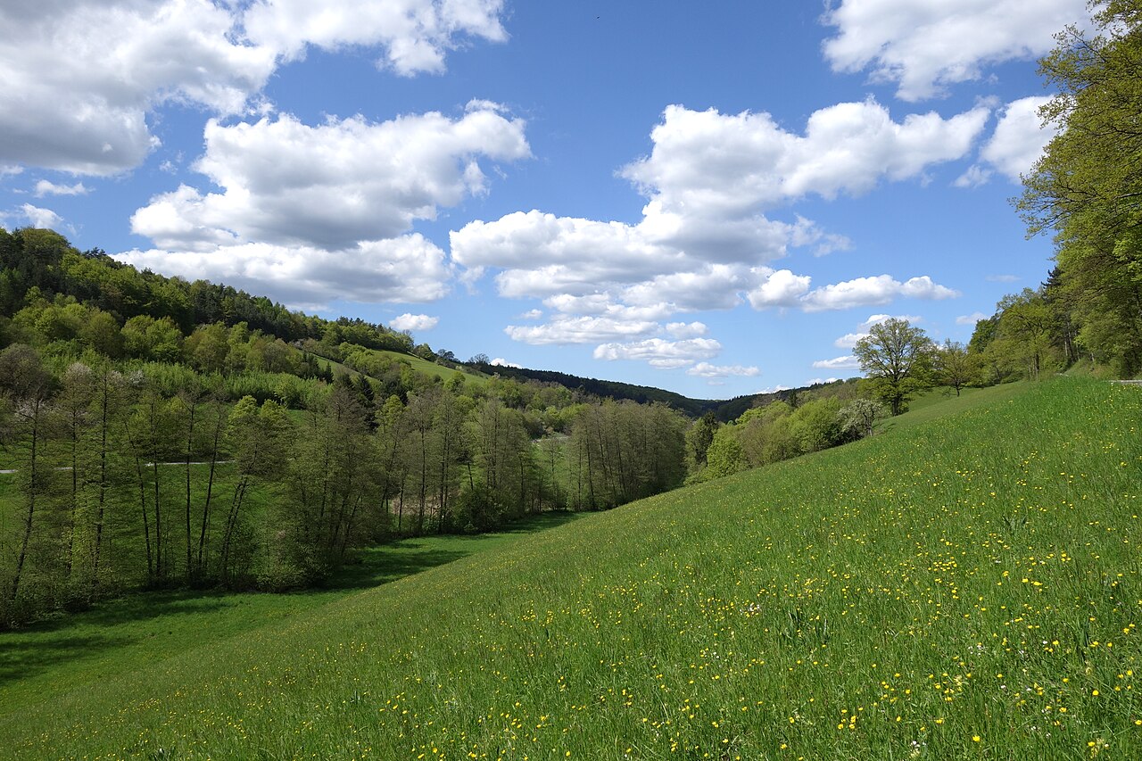 Tal des Nüstenbachs bei Mosbach-Neckarelz
