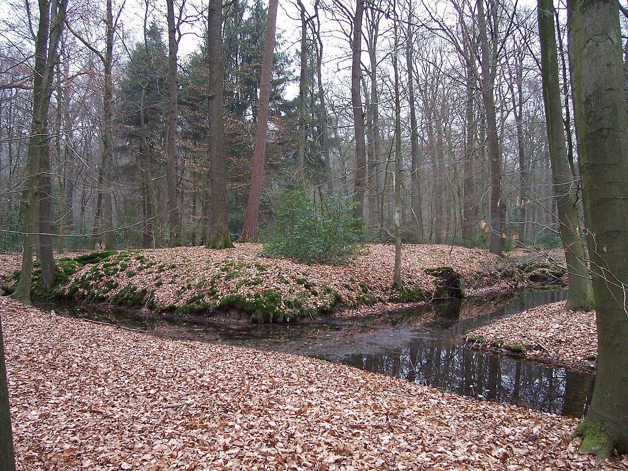 Ditch complex Nunnepollen City of Rhede, Westphalia