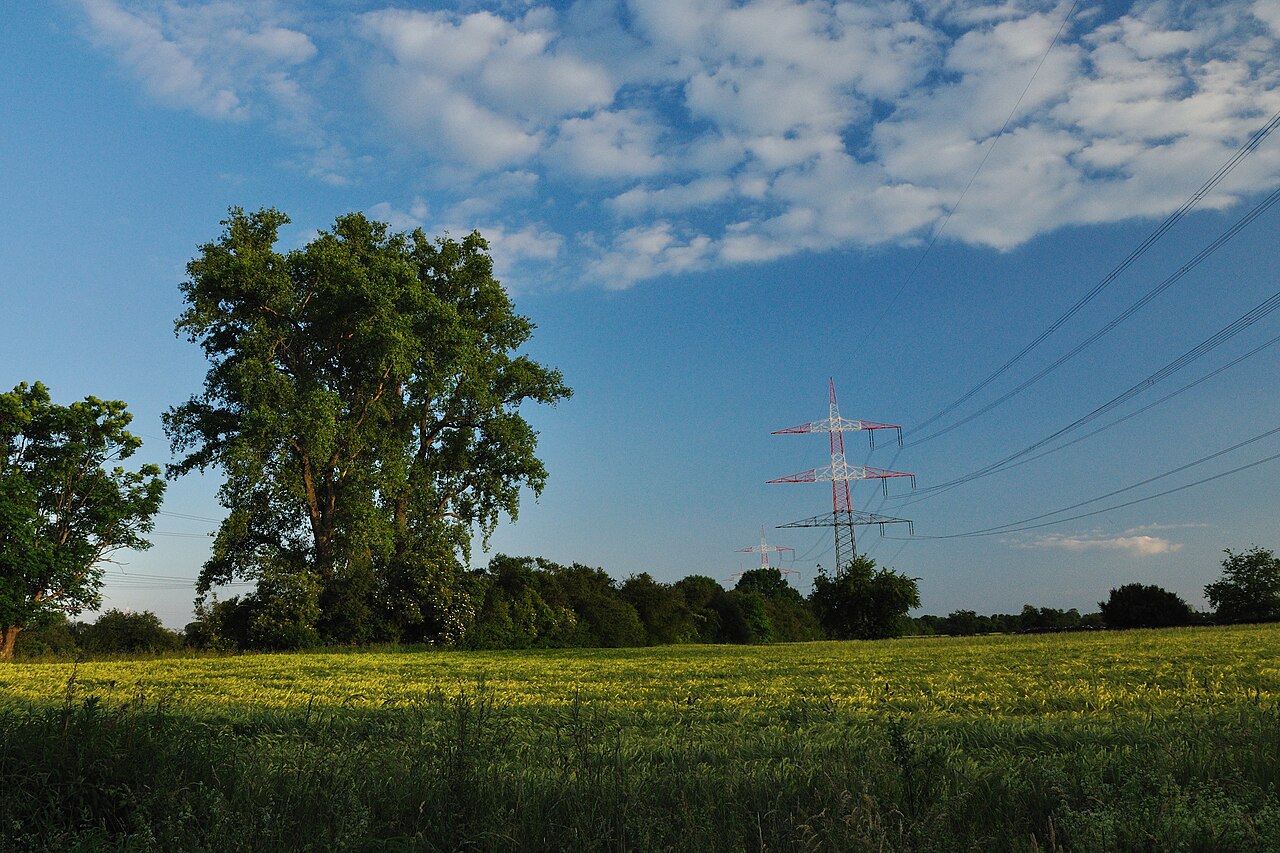 Naturschutzgebiet 2168 Nußlocher Wiesen (Feld)