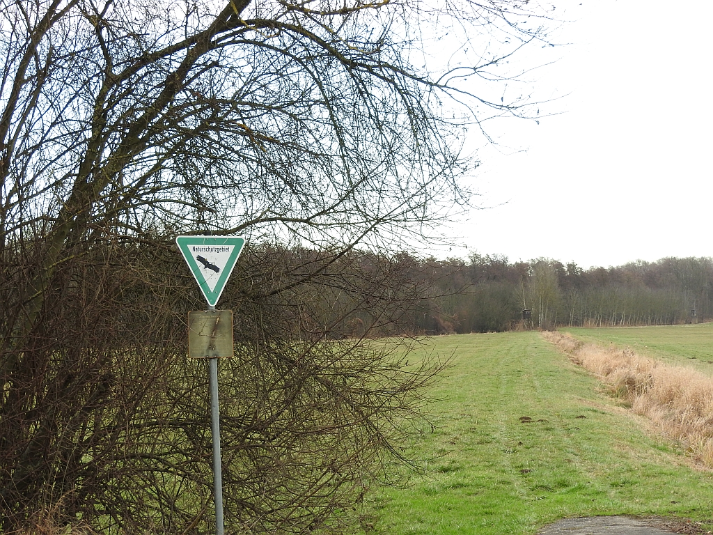 Naturschutzgebiet Oberbruchwiesen bei Graben-Neudorf, 08