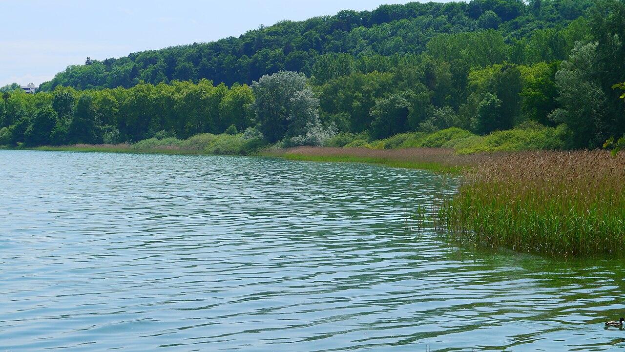 Ein Blick auf die Bucht des Naturschutzgebietes Obere Güll