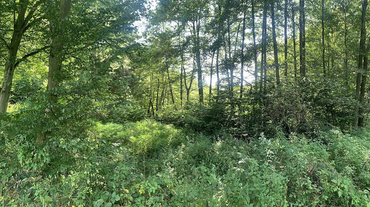 Bad Camberg, Oberes Dombachtal