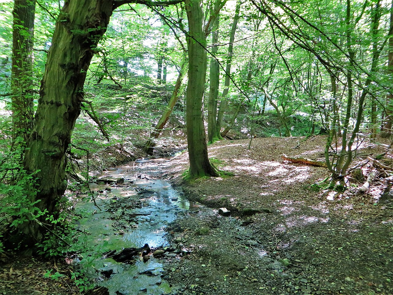Naturschutzgebiet EN-015 „Oberes Felderbachtal“ in Sprockhövel