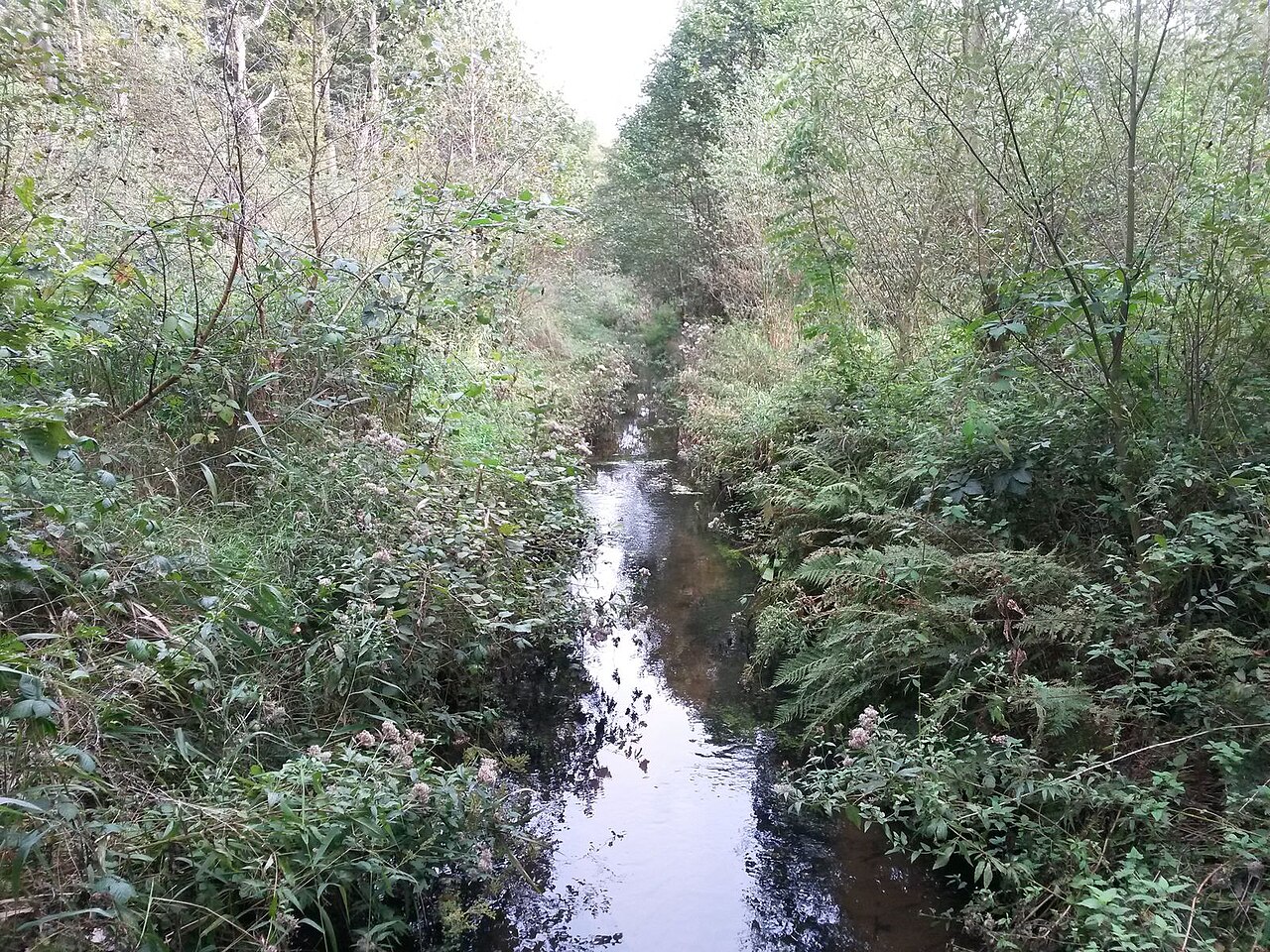 River Fintau