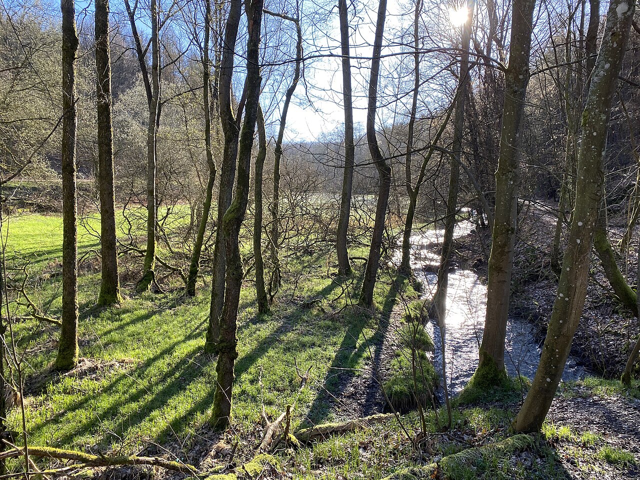 Naturschutzgebiet Oberes Sengbachtal