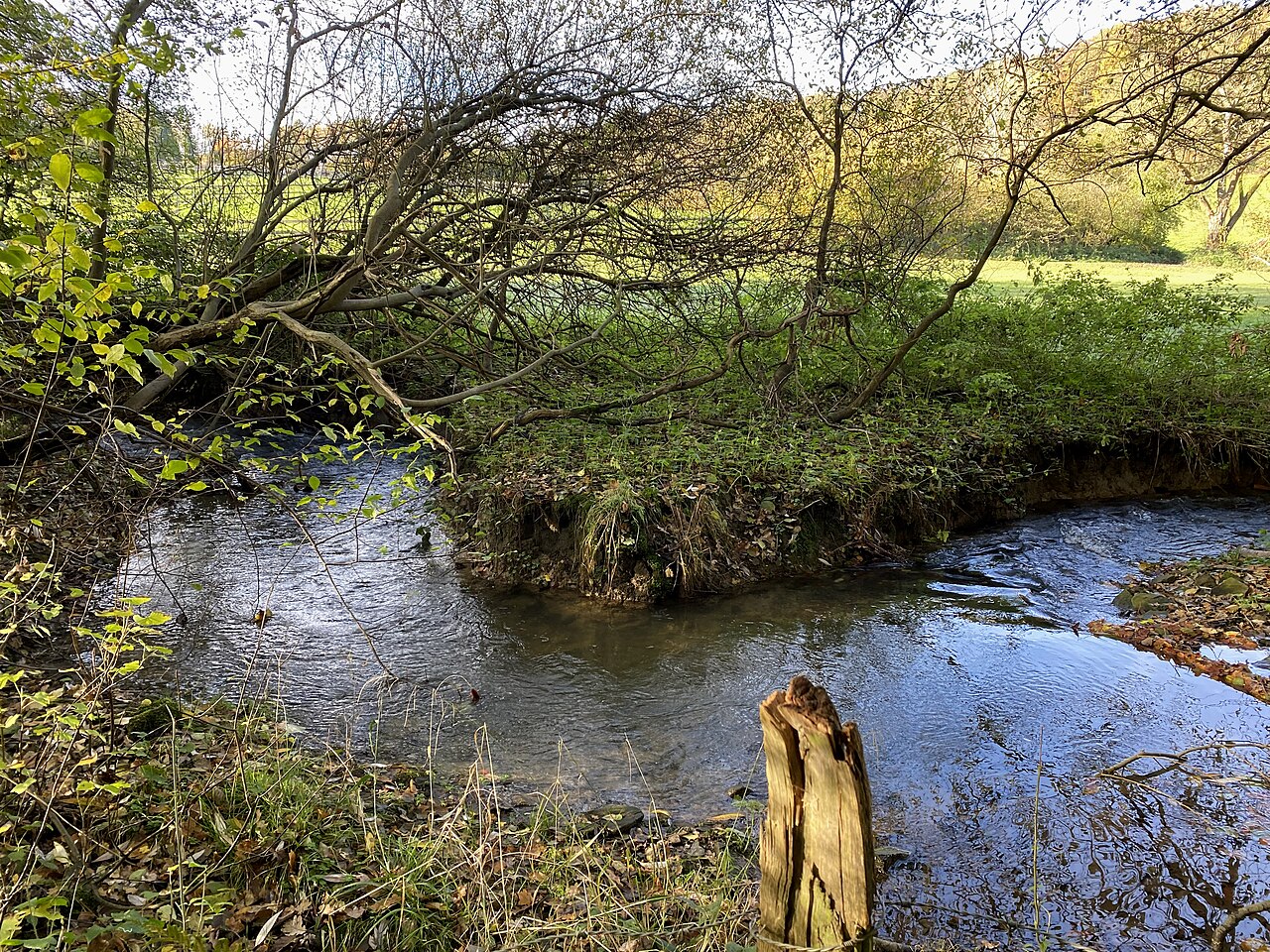 Naturschutzgebiet Oberes Sprockhöveler Bachtal