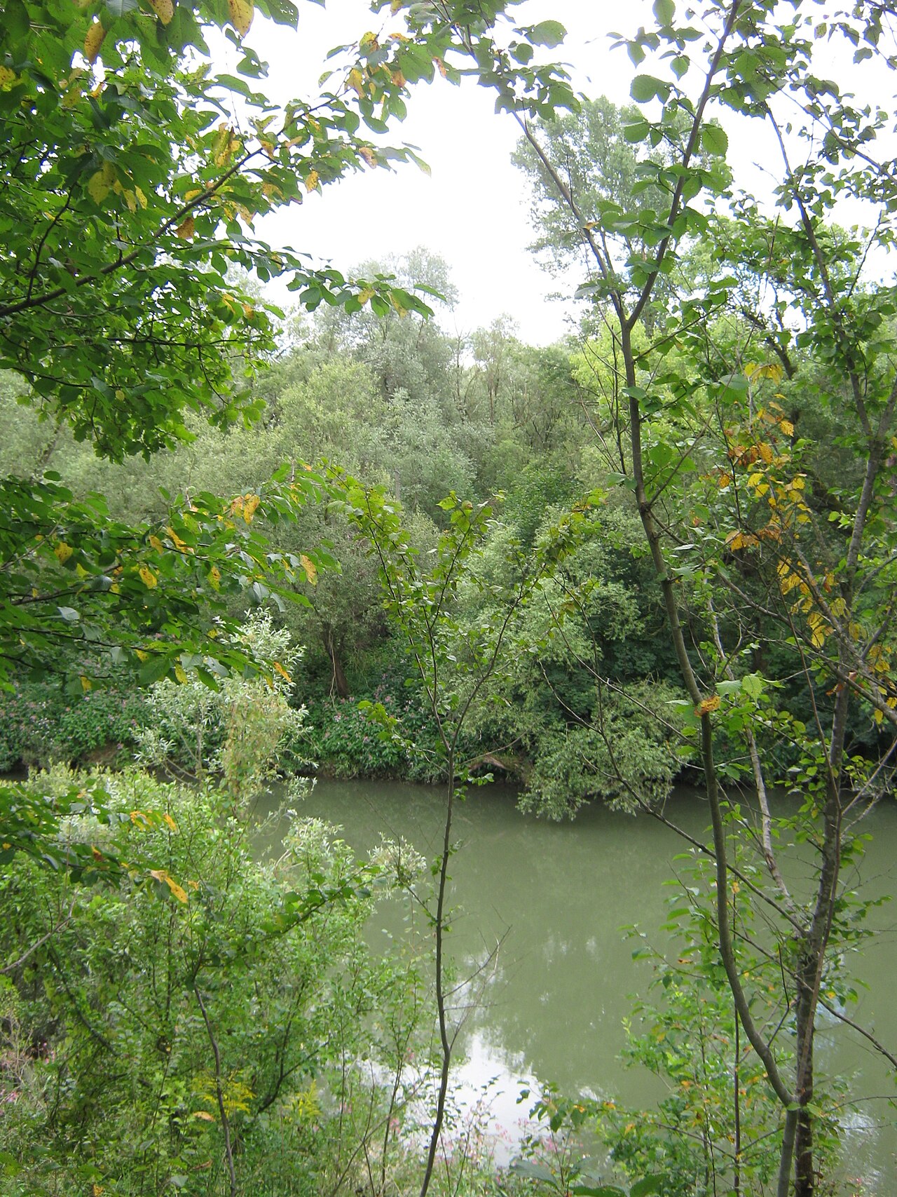 Blick über den Neckar auf das Naturschutzgebiet Oberes Steinach bei Bühl (Tübingen) und Kiebingen