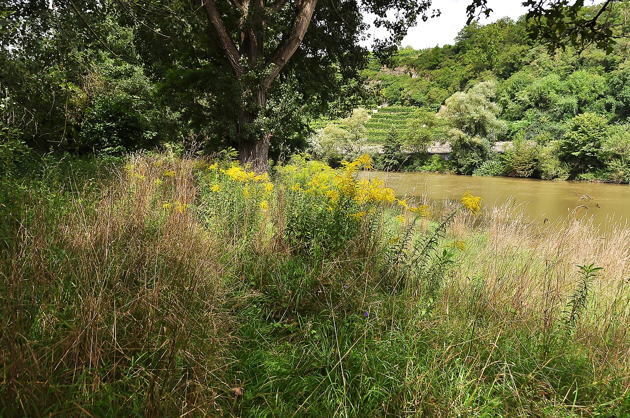 This Nature reserve is impermeable for a common wanderer