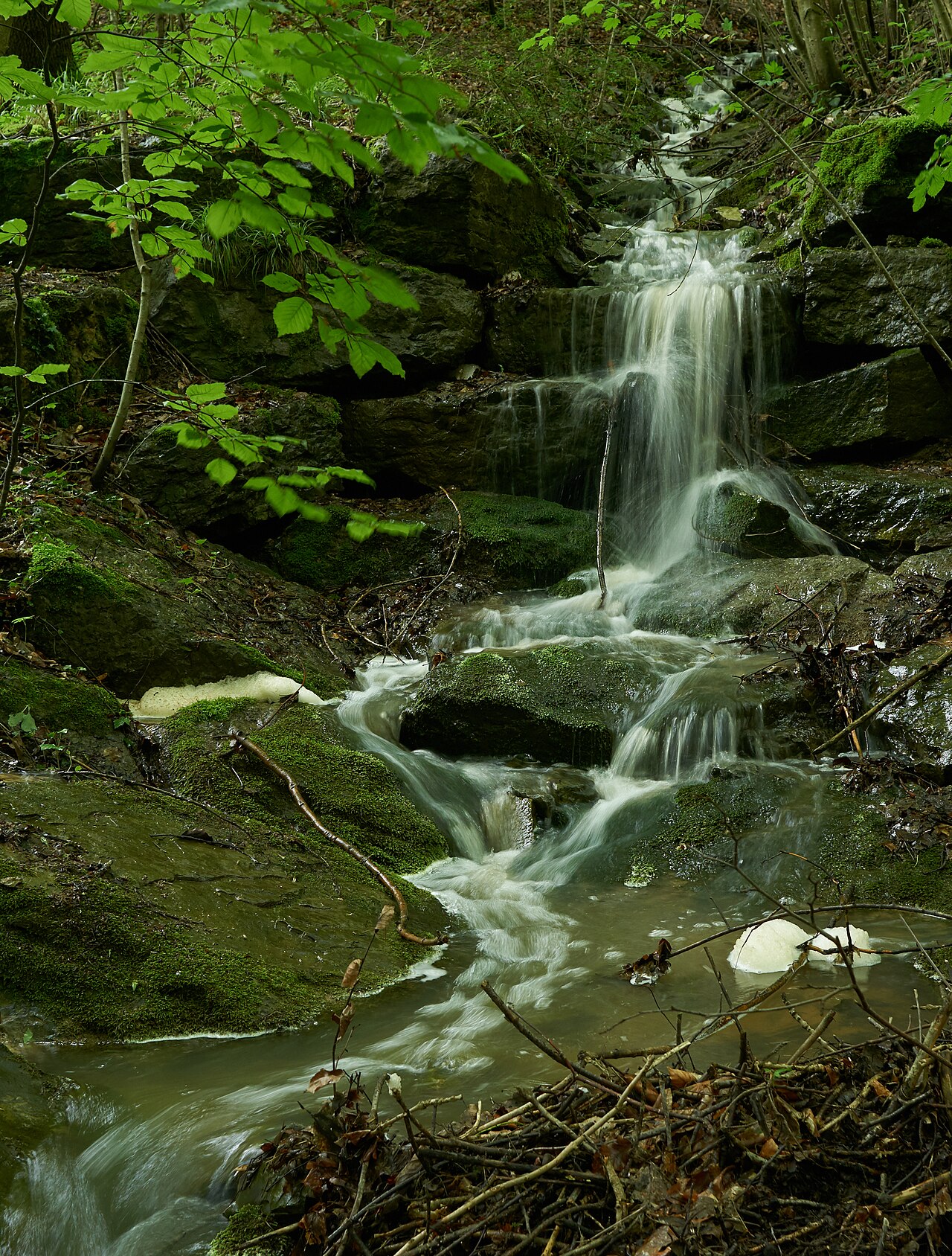 Wasserfall des Zipfelbachs im Naturschutzgebiet 1